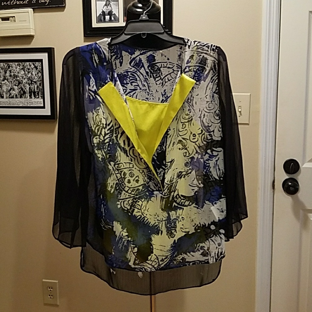 Tahari tunic top